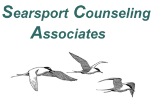 logo searsport alcohol counseling kennebec county me