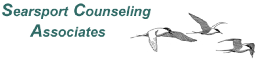 logo searsport alcohol recovery hancock county me