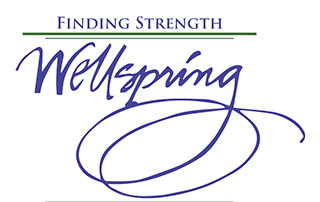 logo wellspring detox women with children bangor me