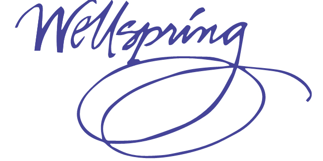 logo wellspring womens residential detox bangor me