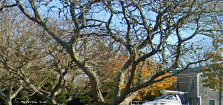 alcohol treatment center nantucket massachusetts 768x363