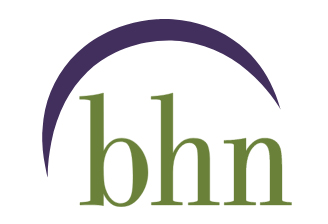 logo bhn latino alcohol rehab holyoke ma