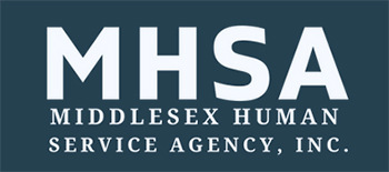 logo mhsa alcohol treatment waltham ma